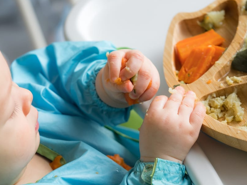 when to start solid food by alam care