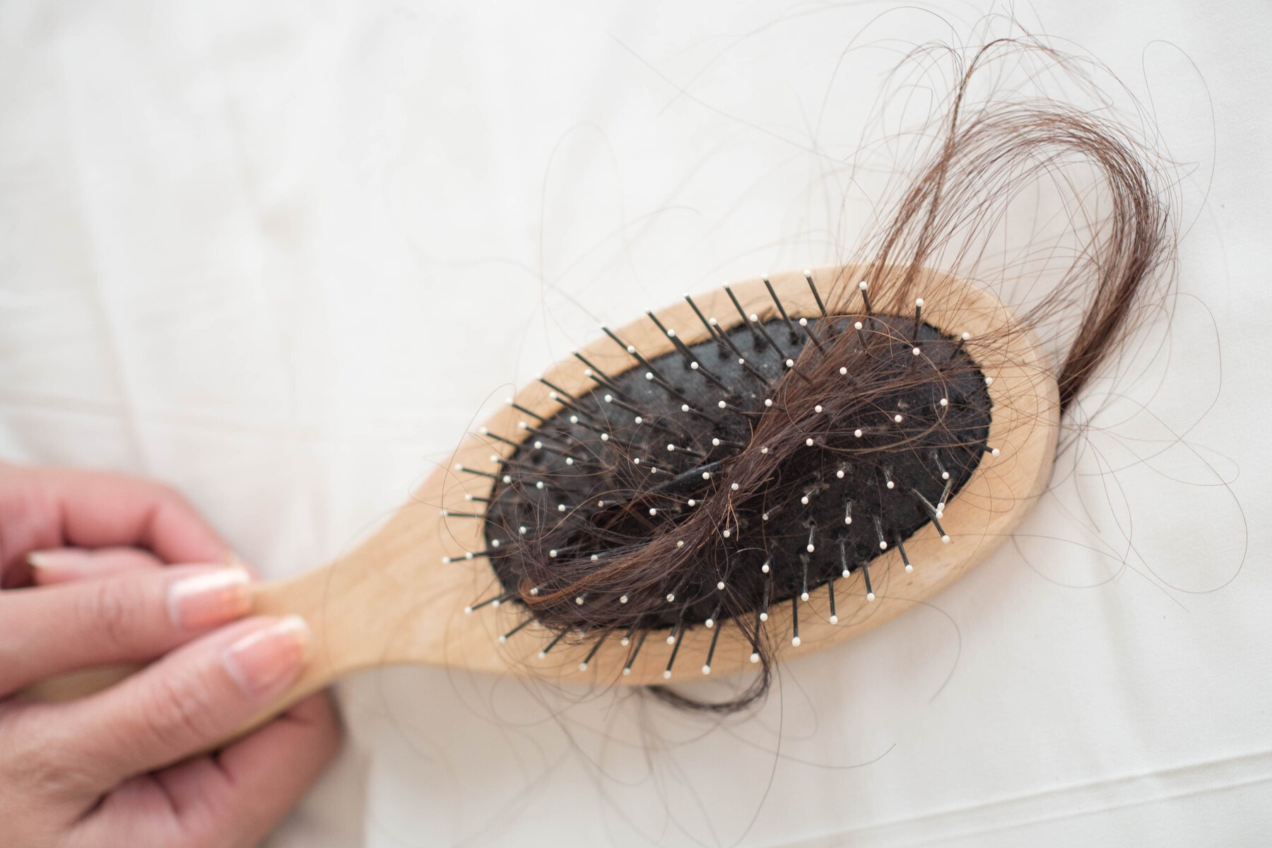 hair loss scalp disorder by alam care