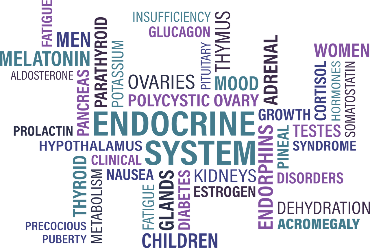 thyroid and no reduction in weight loss